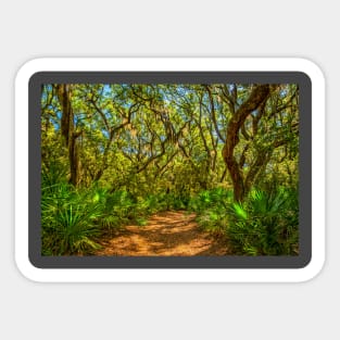 Cumberland Island National Seashore Sticker